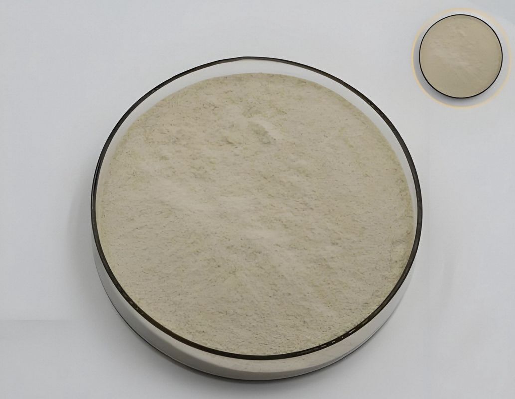 Deosen 1KG High Quality Industrial Grade Viscosity Enhanced Agent DSTA Pro Gum for Concrete and Ready-mixed Mortar
